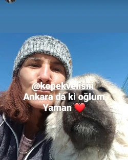 Köpekvelisi 