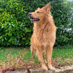Sonja M.