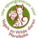 VOC Merelbeke
