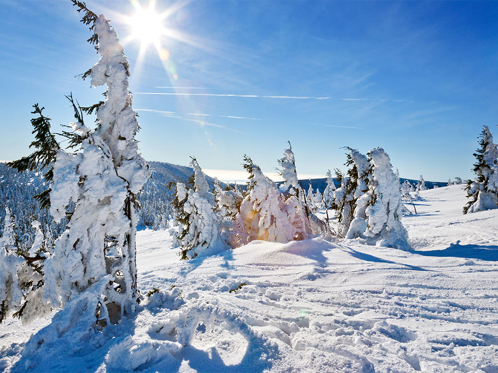 Winter im Riesengebirge