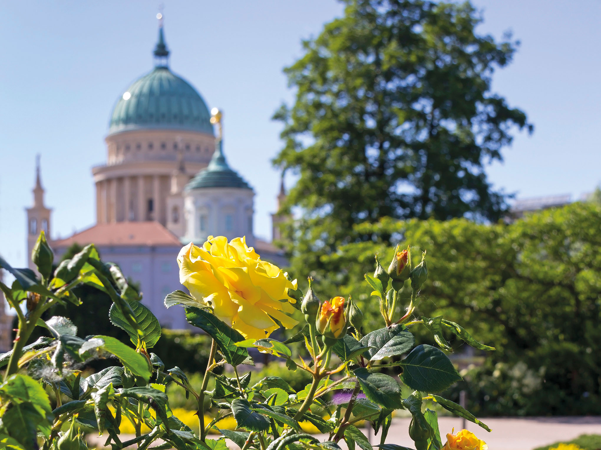 Auf Elbe und Moldau zur Goldenen Stadt mit MS ELBE PRINCESSE-0