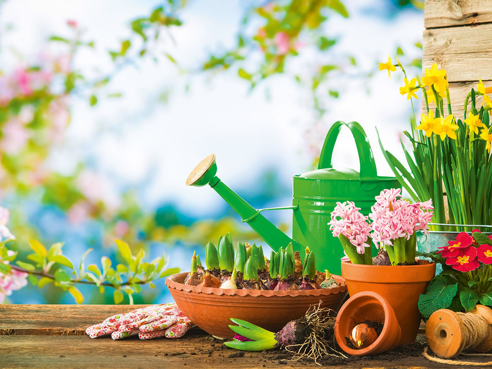 Perfekt für Blumen- und Gartenfans