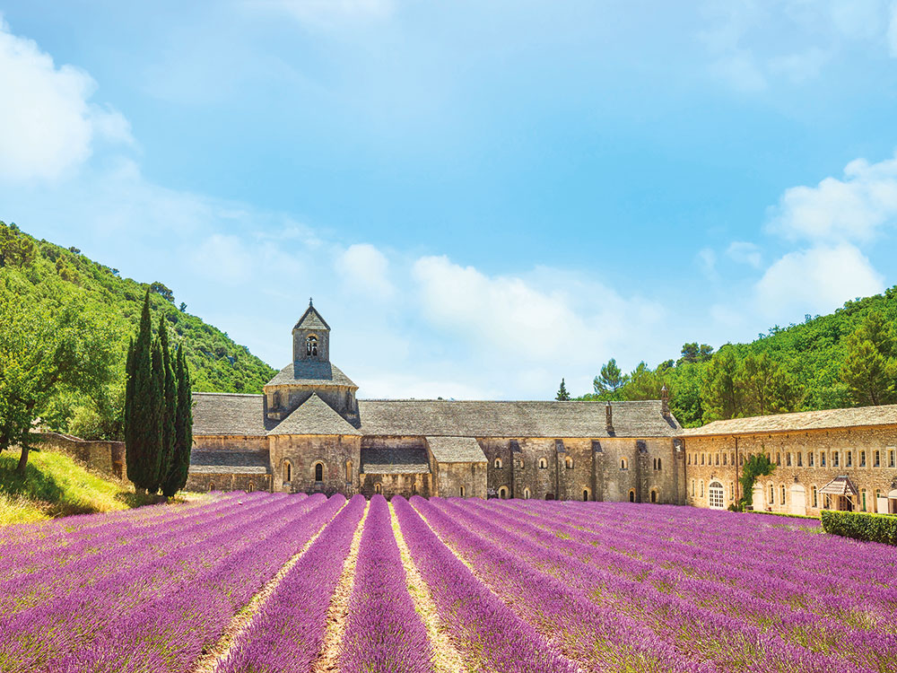 Provence Lavendel