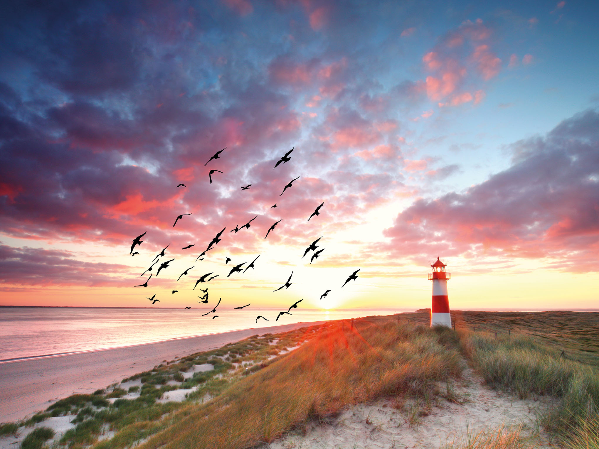 Friesischer Inselurlaub auf Sylt-3