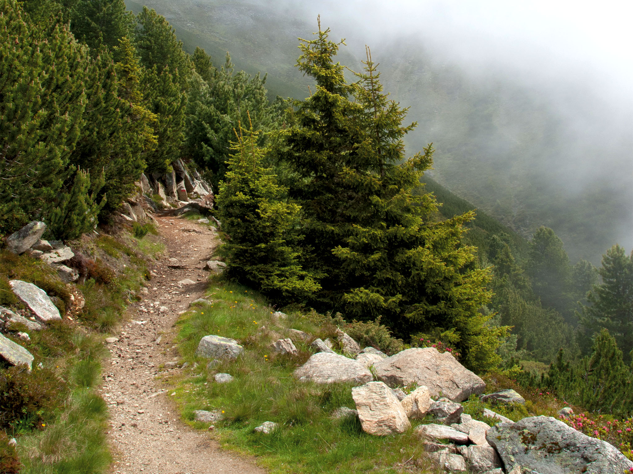 Puls wecken im Ötztal-2