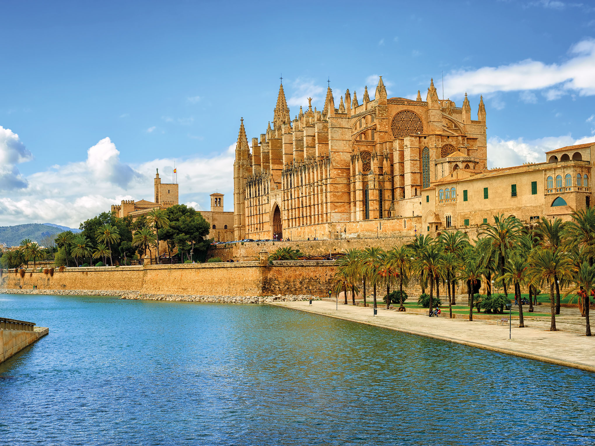 Frühlingstraum und Mandelblüte in Mallorca - Flugreise-3