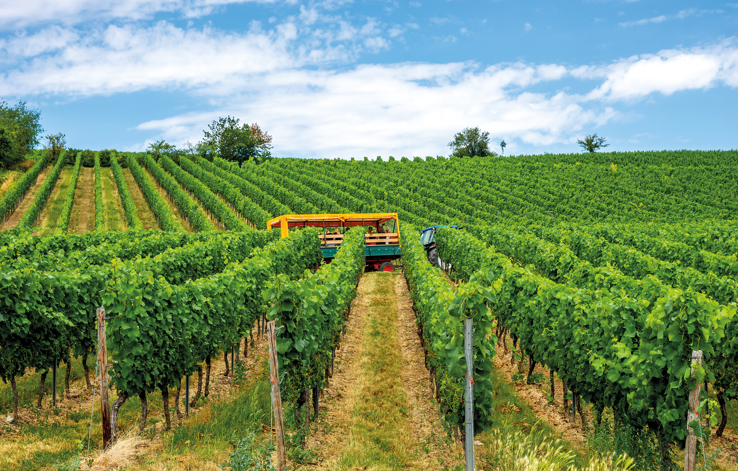 Weinbergtour durch Rheinland-Pfalz-3