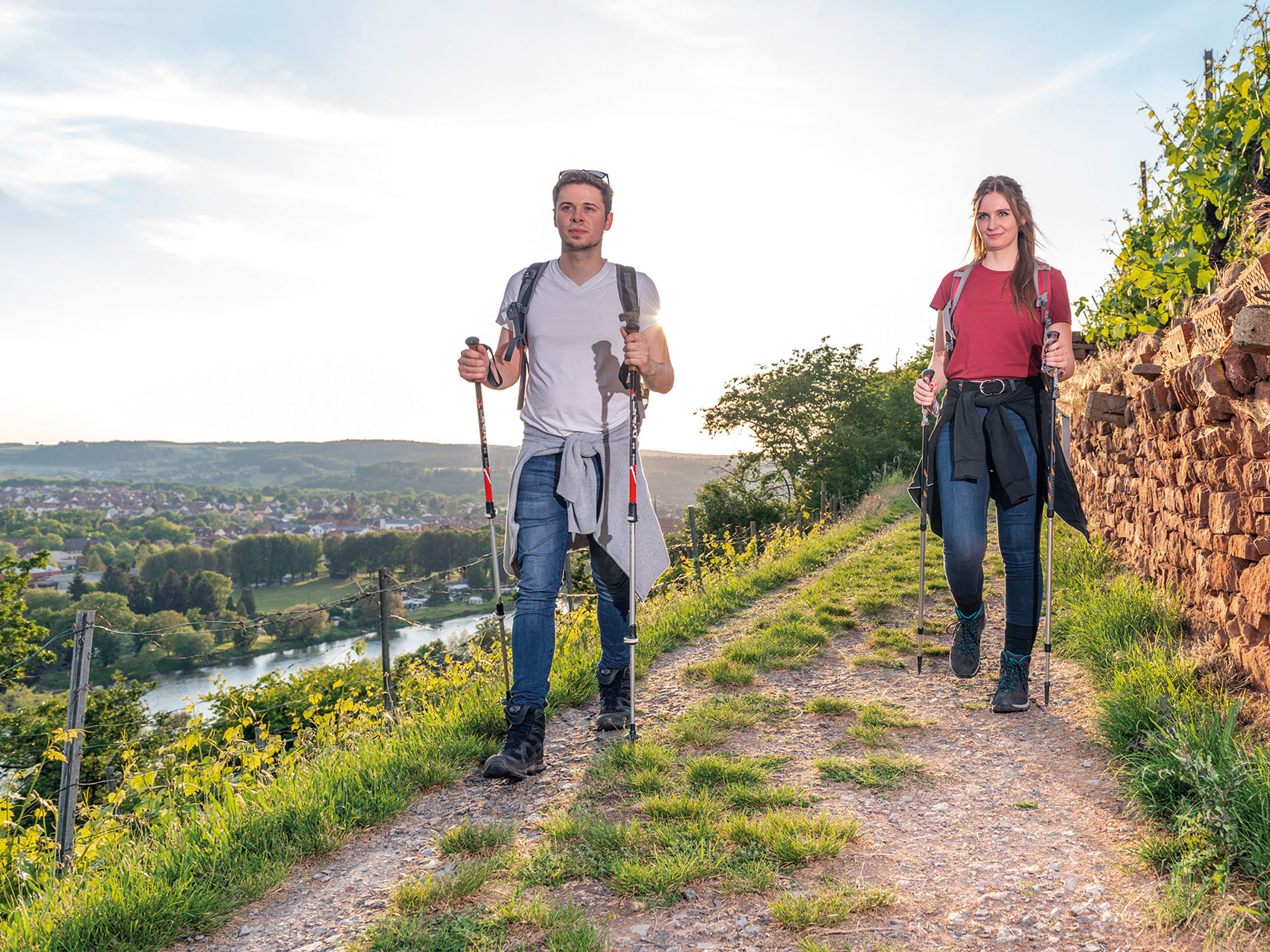 Fränkischer Rotweinwanderweg-3