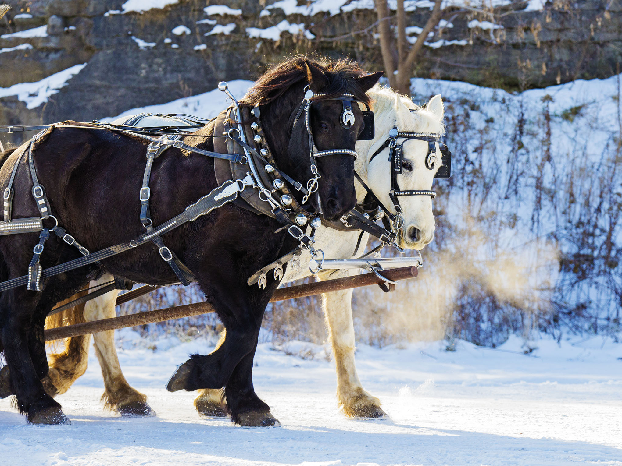 Romantische Wintertage im Salzkammergut und der Dachstein Region-2