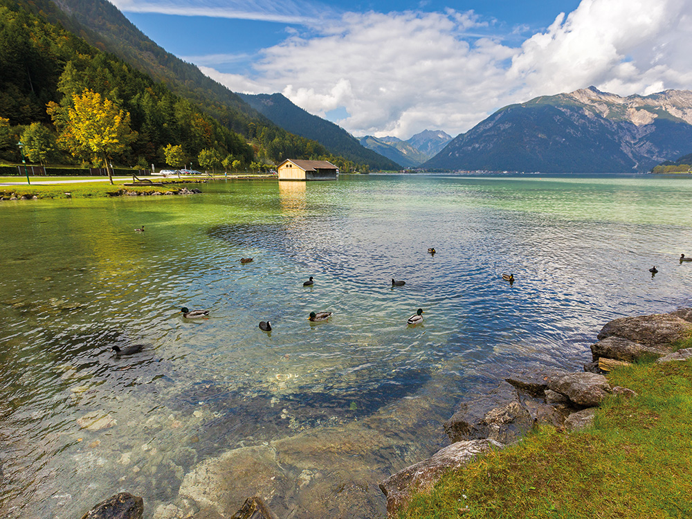 Sommer in den Alpen-4