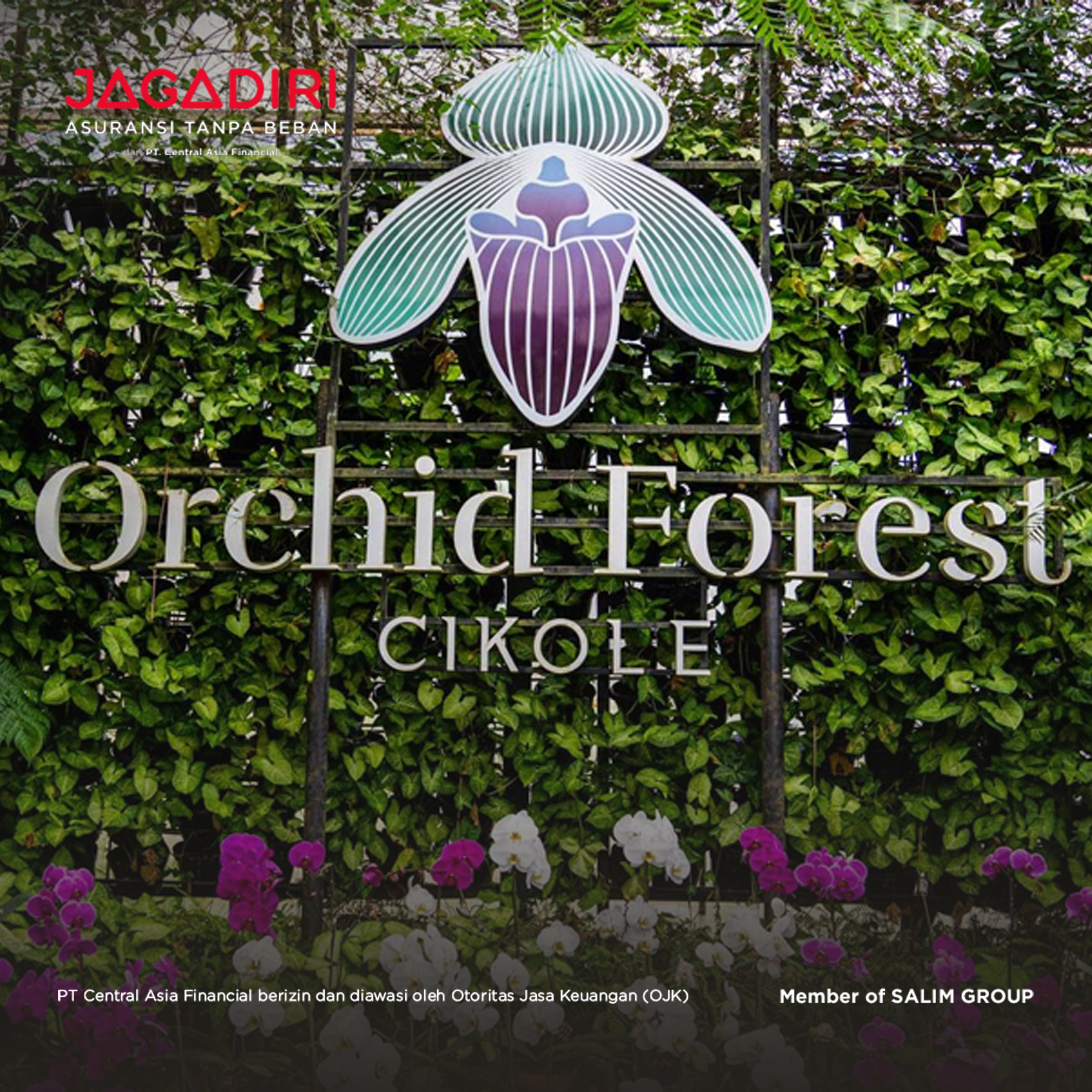 Jangan Lewatkan Hal Ini Kalau Kamu Mau Liburan ke Orchid Forest Cikole