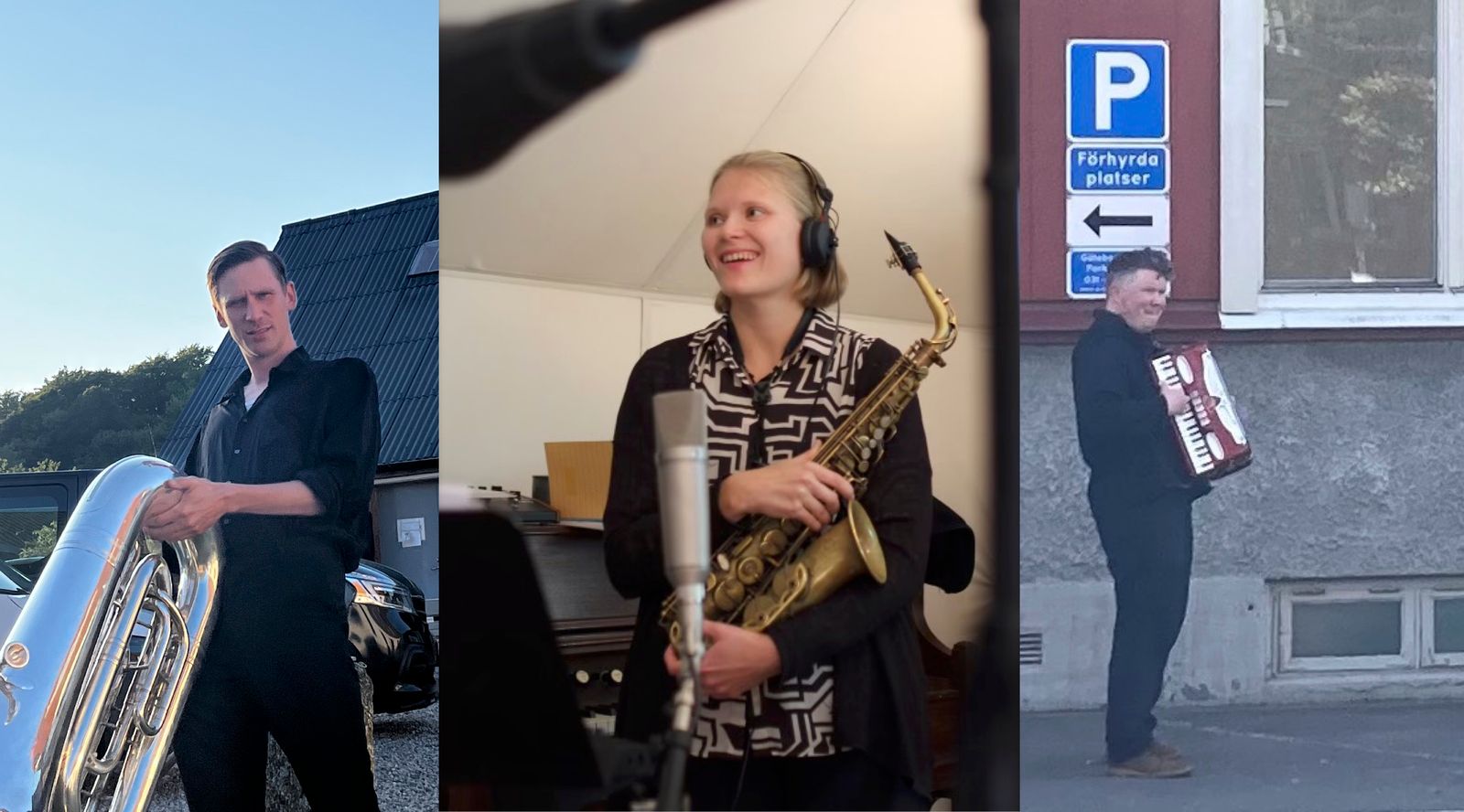 Strzalek/Svanberg/Arborelius