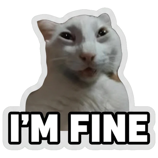 I'm Fine
