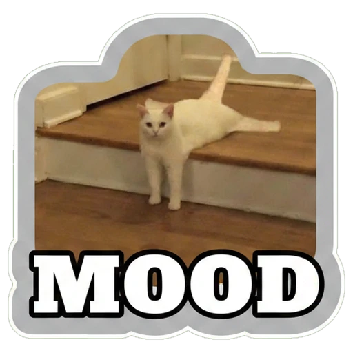 Mood
