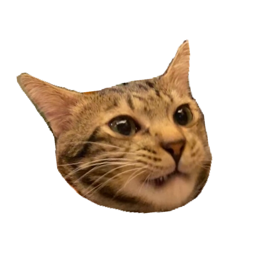 stare_cat - Discord Emoji