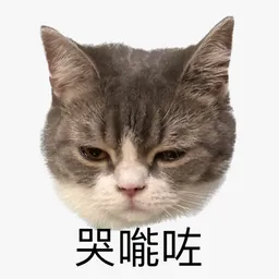 Angry Cat - Download Stickers from Sigstick