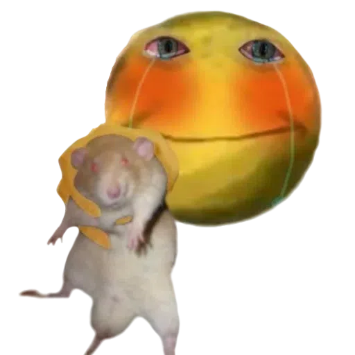 Cursed Emoji PNG Transparent Images Download - PNG Packs