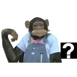 Meme Monkey Sticker