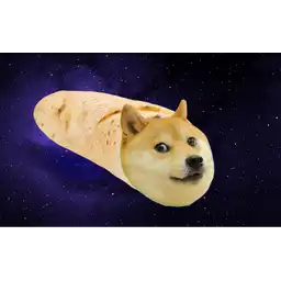 doge space twinkie