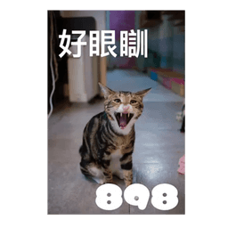 Cat memes - Download Stickers from Sigstick