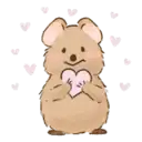 quokka with hearts