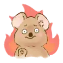 quokka is frustrated and on fire