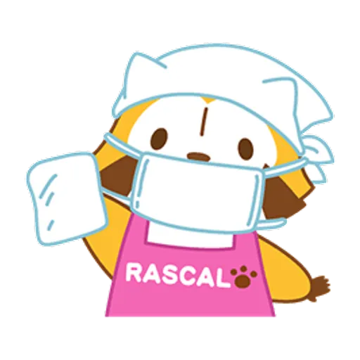 Raccoon Sticker – owloart