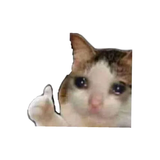 Dance Sad Cat Dance Sticker - Dance Sad Cat Dance Sad Cat Meme