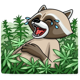 Roccoon Raccoon Stickers - Apps on Google Play