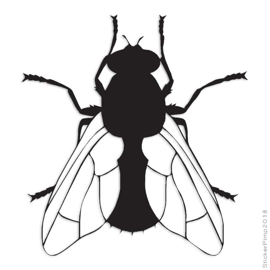 Fly Insect Bug, Vinyl Decal Sticker, Multiple Colors & Sizes #2882