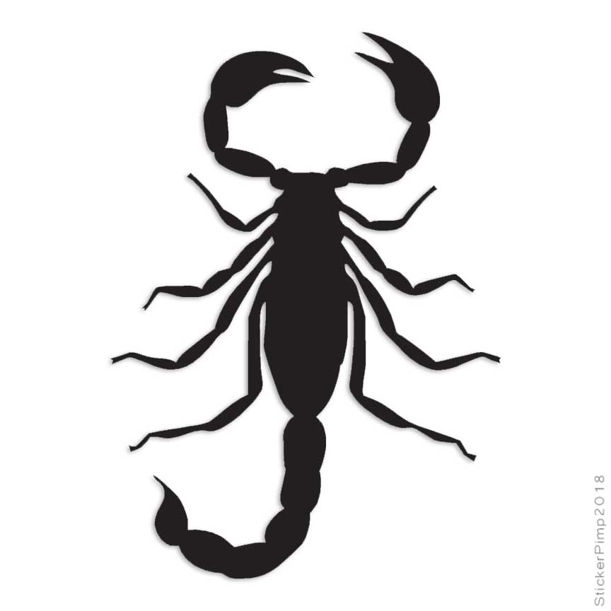 Scorpion Stinger, Vinyl Decal Sticker, Multiple Colors & Sizes #2893
