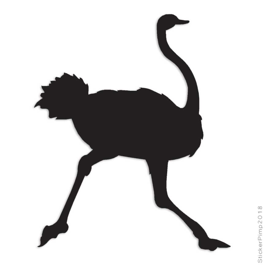 Ostrich Running, Vinyl Decal Sticker, Multiple Colors & Sizes #492