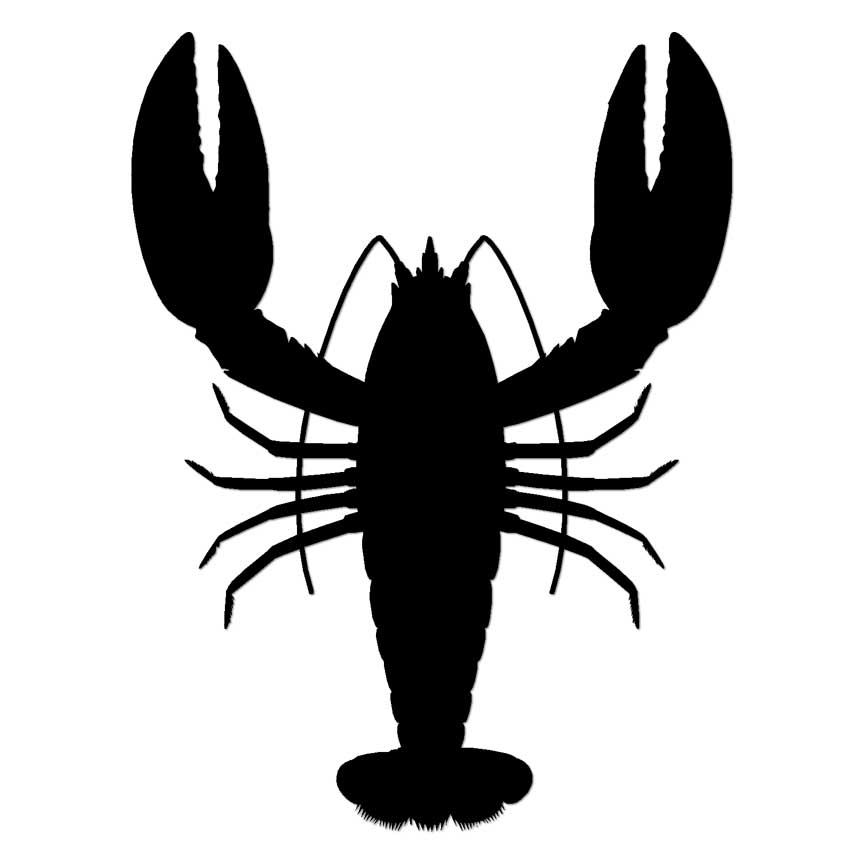 Lobster, Vinyl Decal Sticker, Multiple Colors & Sizes #6766
