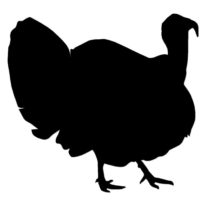 Wild Turkey Tom, Vinyl Decal Sticker, Multiple Colors & Sizes #6941
