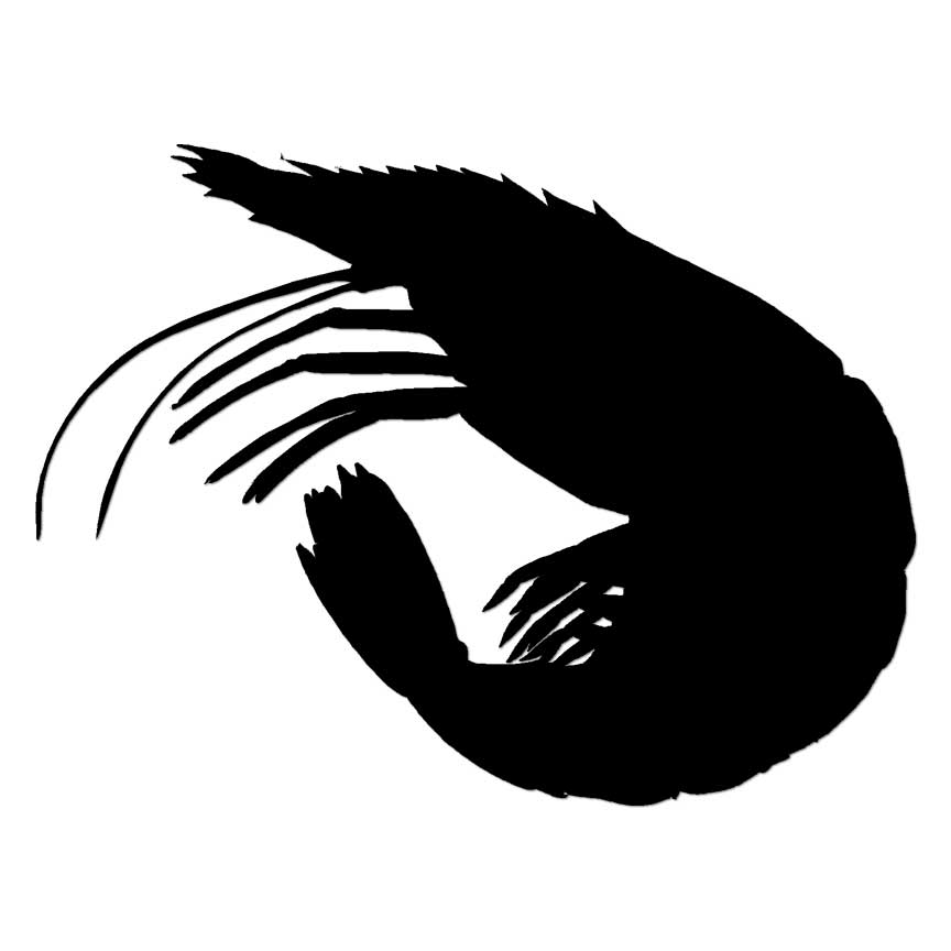 Shrimp, Vinyl Decal Sticker, Multiple Colors & Sizes #7016