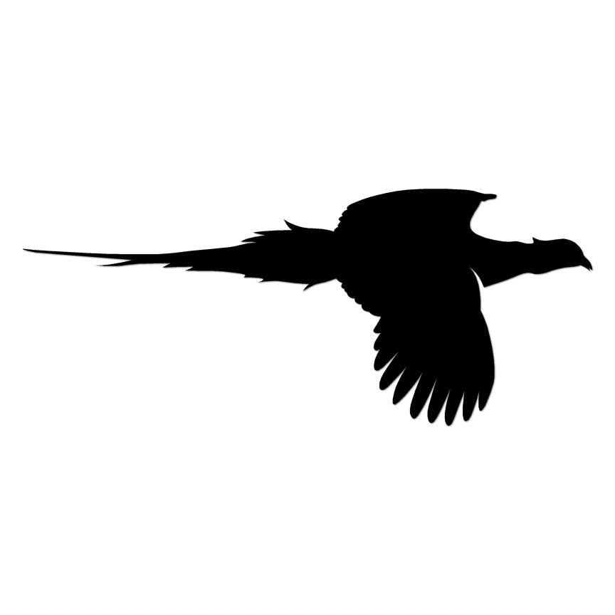 Pheasant, Vinyl Decal Sticker, Multiple Colors & Sizes #7063