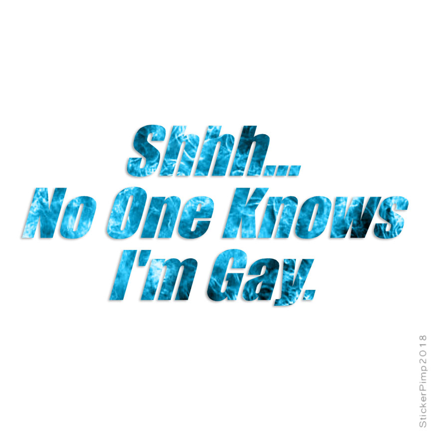 No One Knows I’m Gay, Vinyl Decal Sticker, 40 Patterns & 3 Sizes, #3916