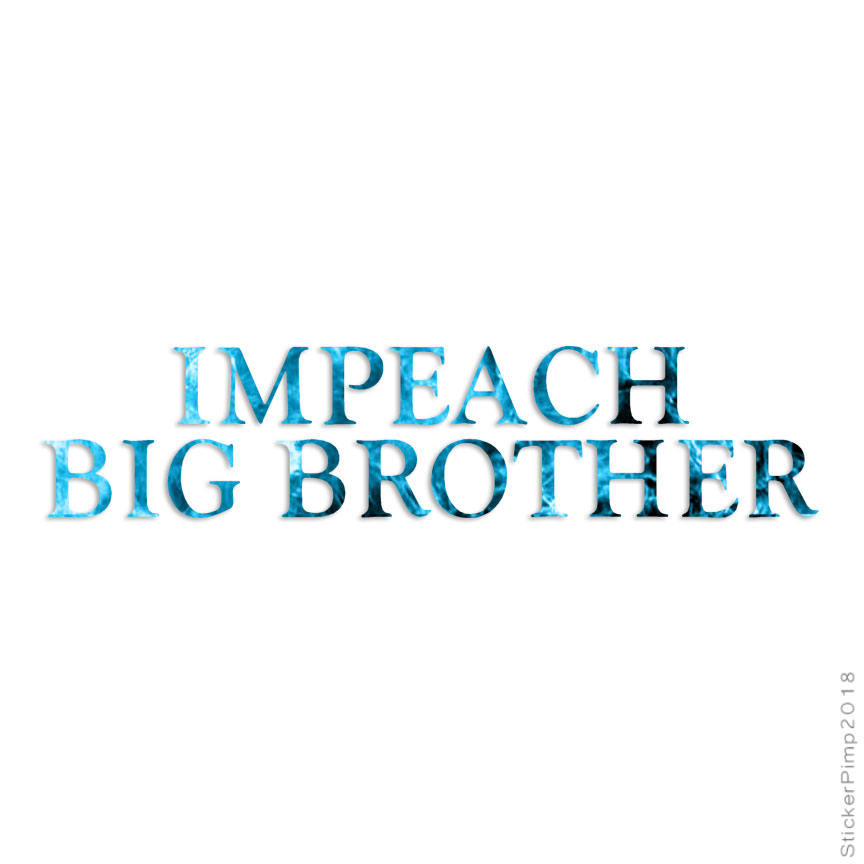 Impeach Big Brother, Vinyl Decal Sticker, 40 Patterns & 3 Sizes, #4092