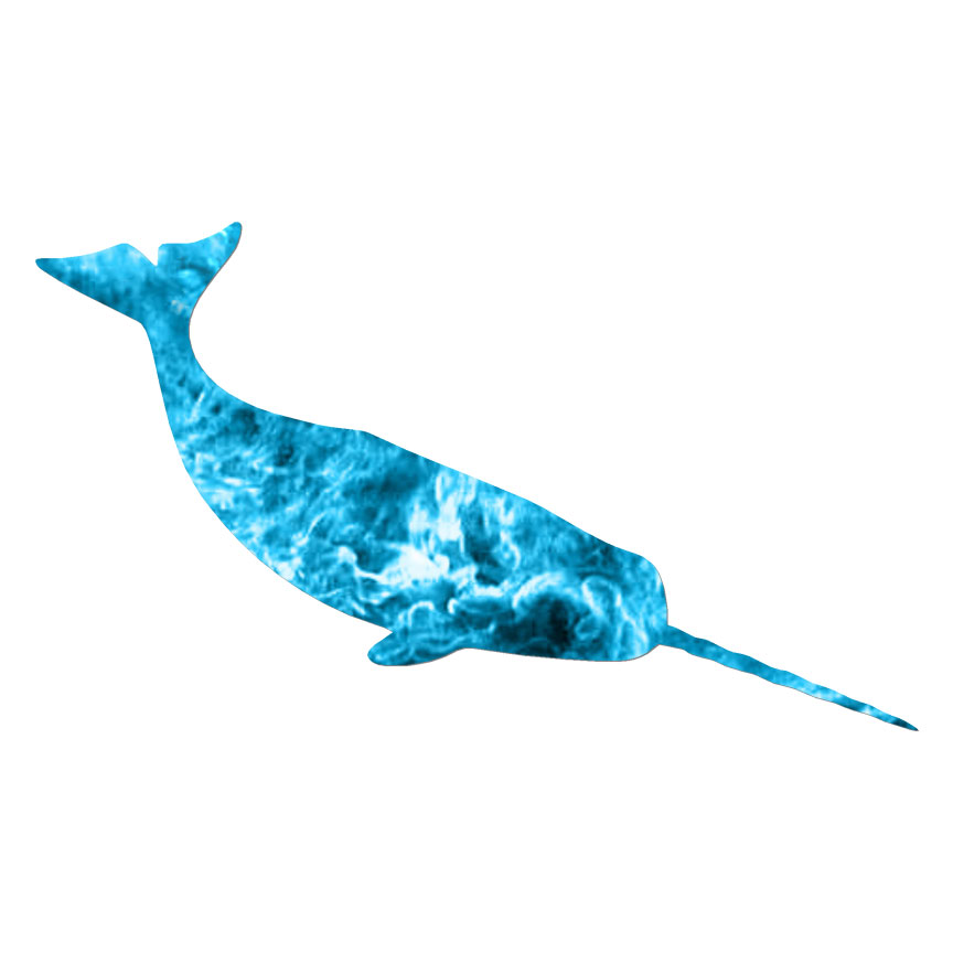Narwhal, Vinyl Decal Sticker, 40 Patterns & 3 Sizes, #6055