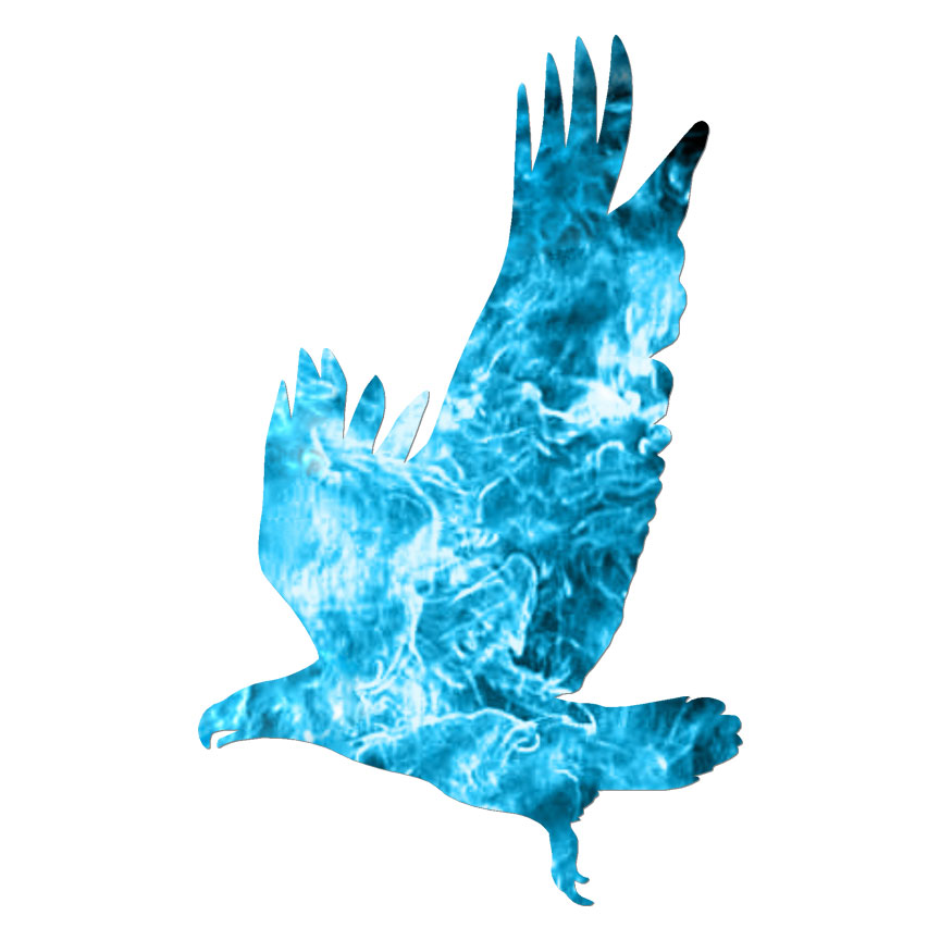 Bird Eagle Hawk, Vinyl Decal Sticker, 40 Patterns & 3 Sizes, #6084
