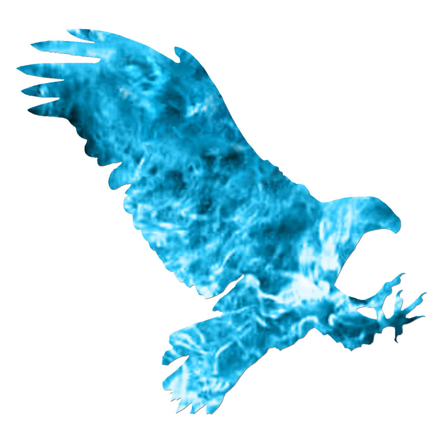 Eagle Raptor Hawk, Vinyl Decal Sticker, 40 Patterns & 3 Sizes, #6141
