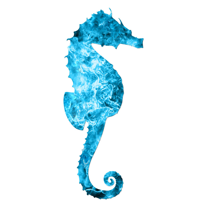 Seahorse , Vinyl Decal Sticker, 40 Patterns & 3 Sizes, #6183