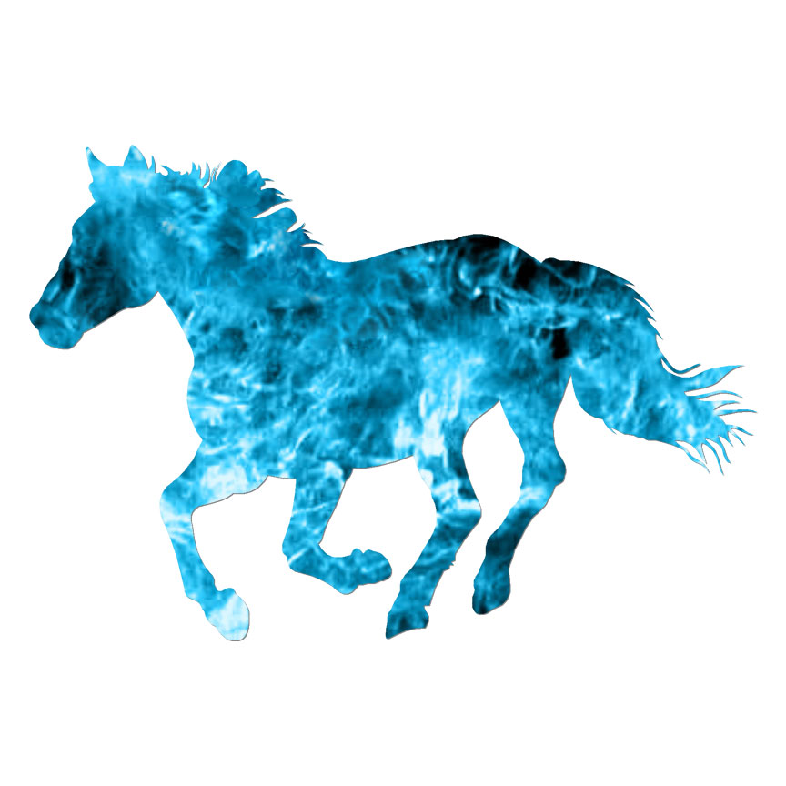 Horse Stallion, Vinyl Decal Sticker, 40 Patterns & 3 Sizes, #6189