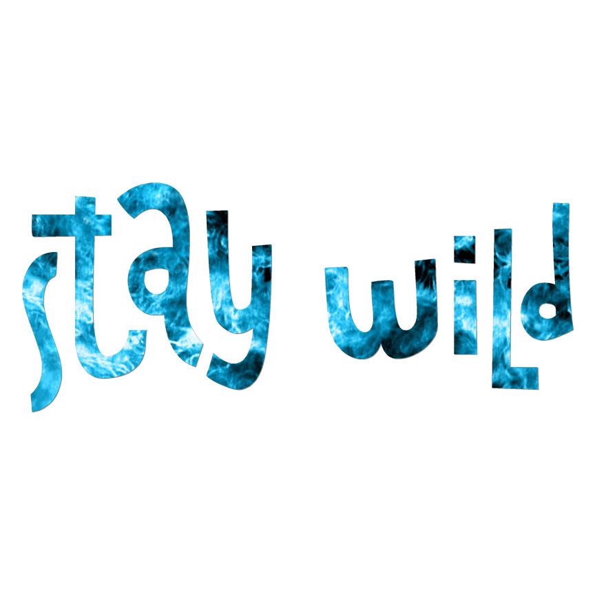 Stay Wild, Vinyl Decal Sticker, 40 Patterns & 3 Sizes, #6216