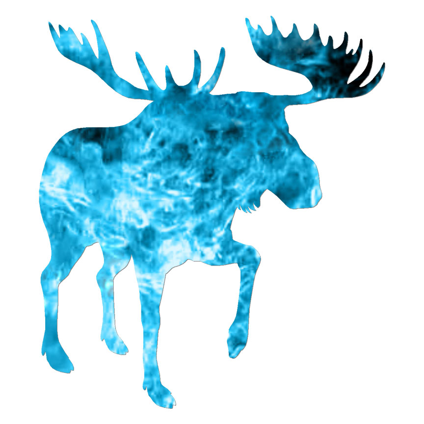 Bull Moose, Vinyl Decal Sticker, 40 Patterns & 3 Sizes, #6342