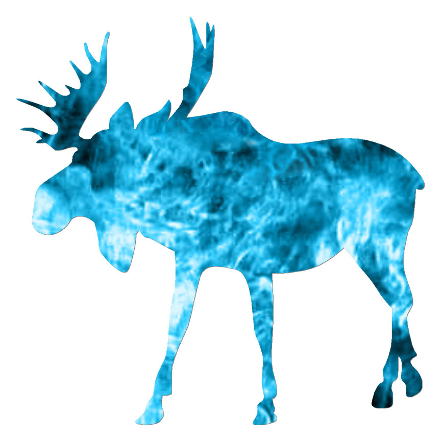 Moose, Vinyl Decal Sticker, 40 Patterns & 3 Sizes, #6343