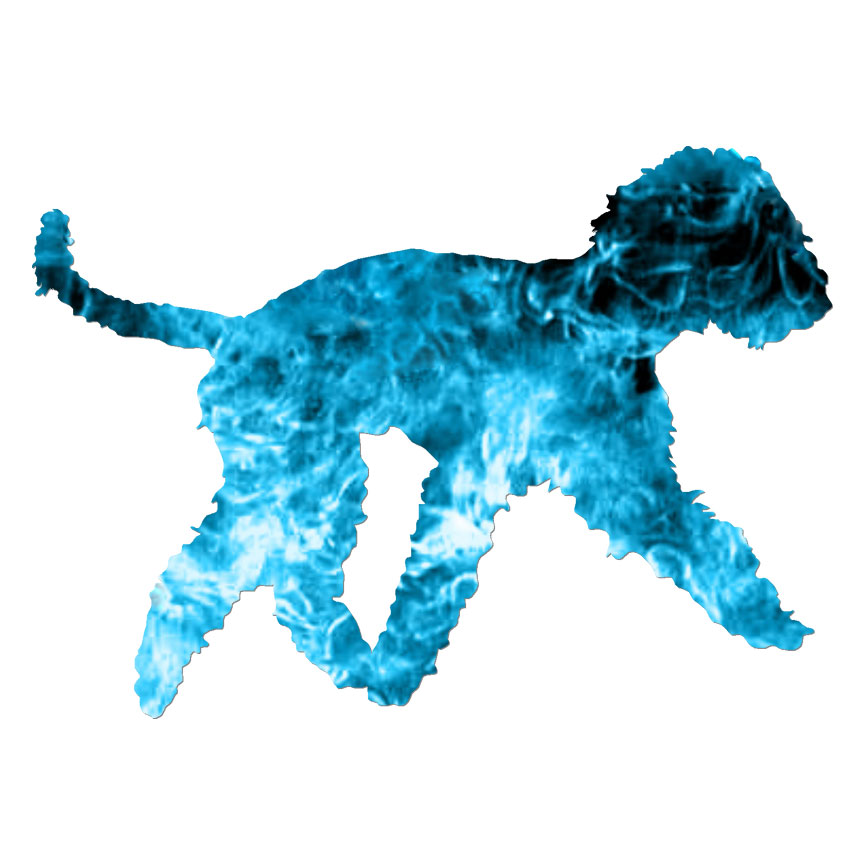 Labradoodle Bedlington, Vinyl Decal Sticker, 40 Patterns & 3 Sizes, #6564