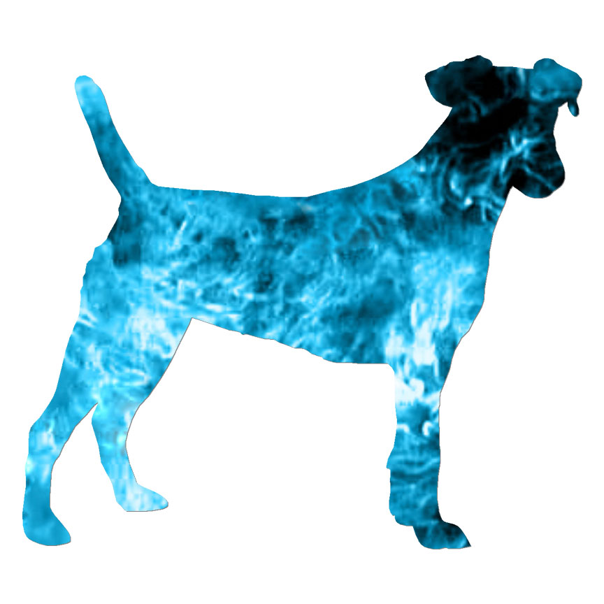 Smooth Fox Terrier, Vinyl Decal Sticker, 40 Patterns & 3 Sizes, #6568