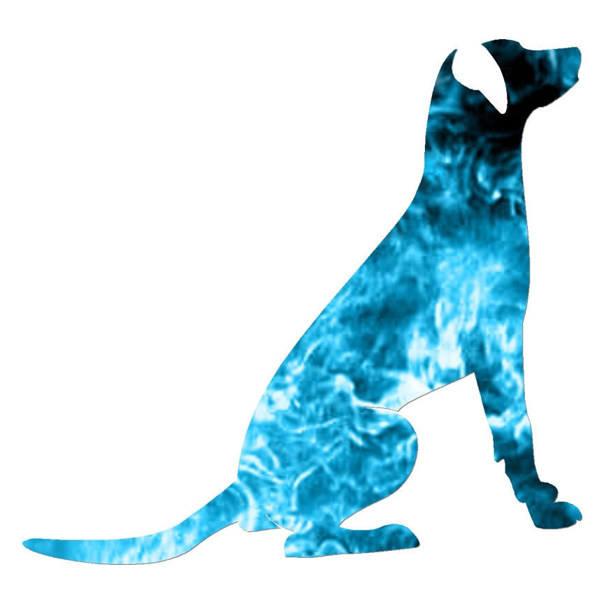 Dog Sit Good Boy, Vinyl Decal Sticker, 40 Patterns & 3 Sizes, #6575