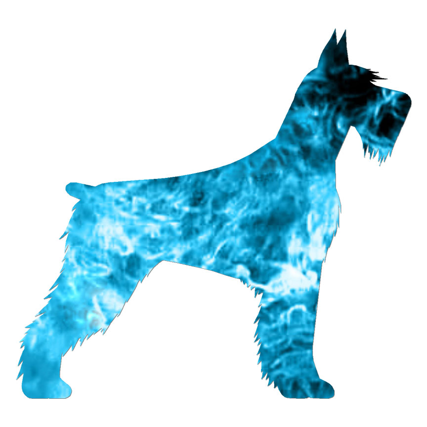 Standard Schnauzer, Vinyl Decal Sticker, 40 Patterns & 3 Sizes, #6579